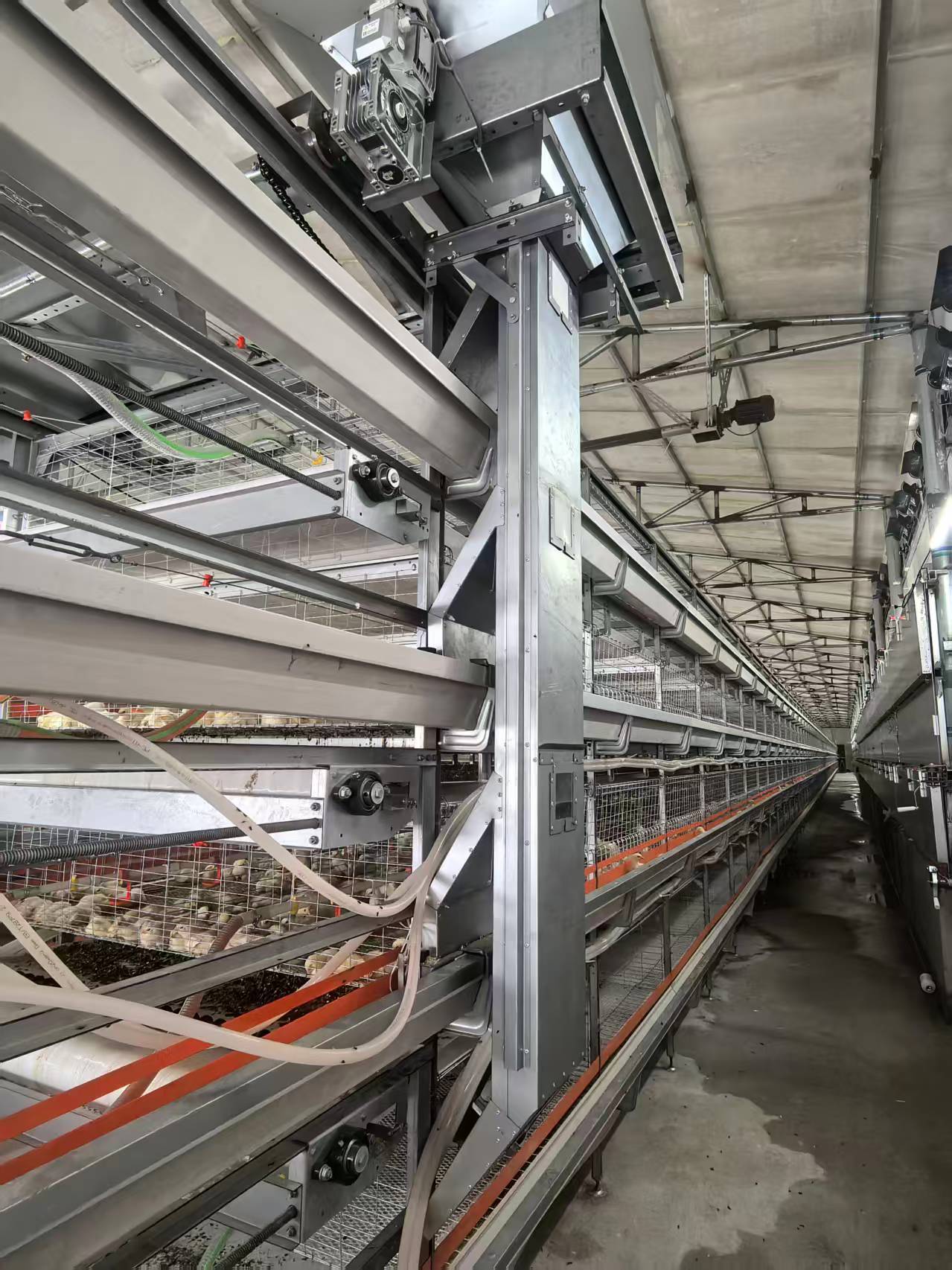 H‑cage automatic feeding system