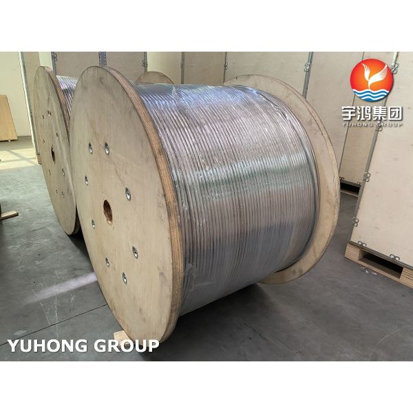 ASTM A269 TP316/316L Нержавеющая сталь теплообменник катушка трубы ярко отжиженный