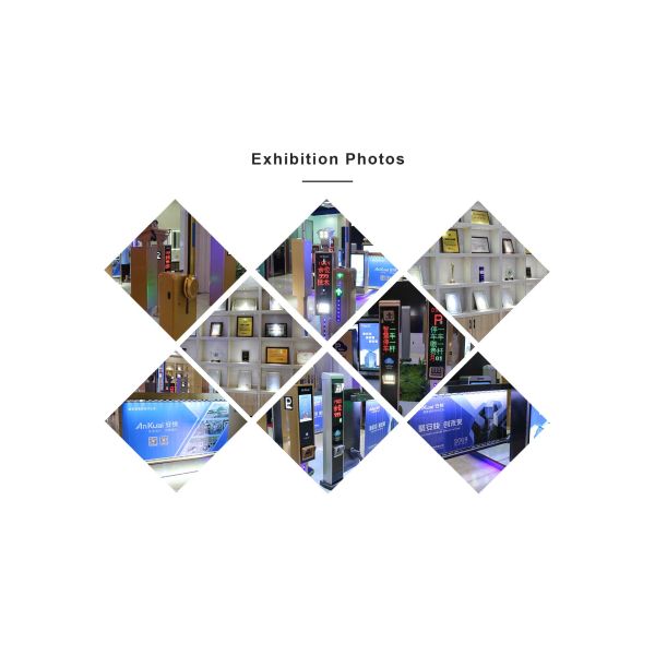 Палы особенное сформированное Ornam камня светящей серии камня автостоянки естественные