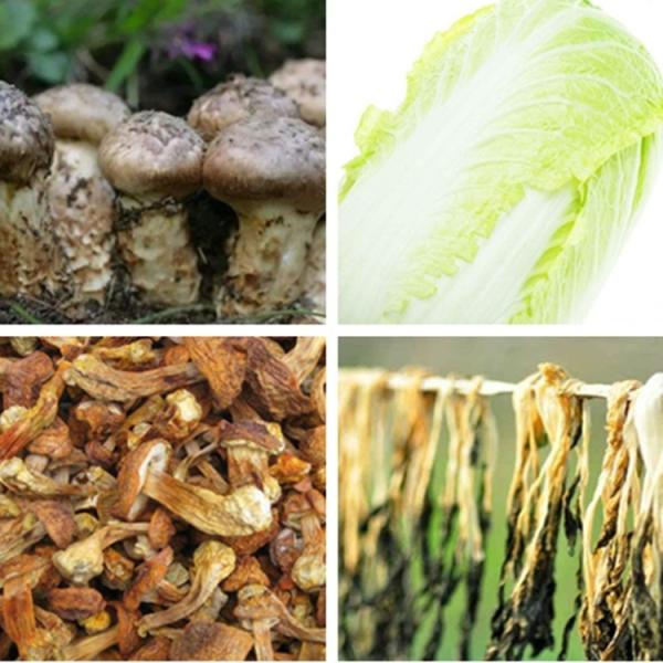 Meat Sanchi Flower Carrot Mushroom Industrial Hot Air Dryer Fungus Fish Belt Dryer