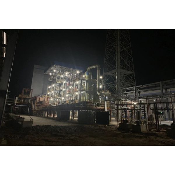 Waste Salt Reclamation Project / Technology Purification Treatment Process For