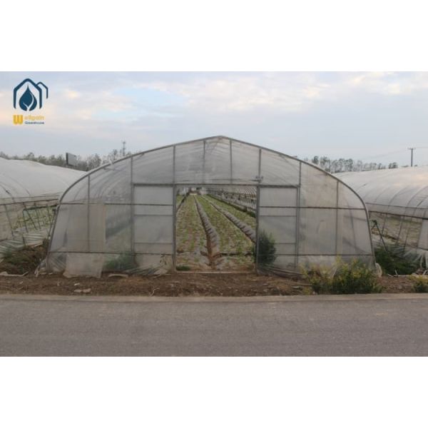 Galvanized Tunnel Greenhouse 2.5m - 4.5m Fruit Growing Greenhouse For Healthier Harvests