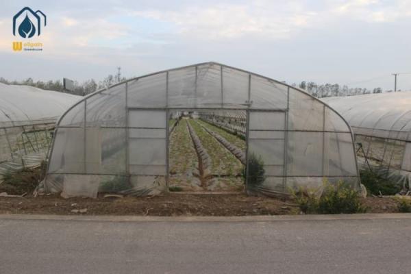 Galvanized Tunnel Greenhouse Year Round Crop Cultivation For Healthier Harvests