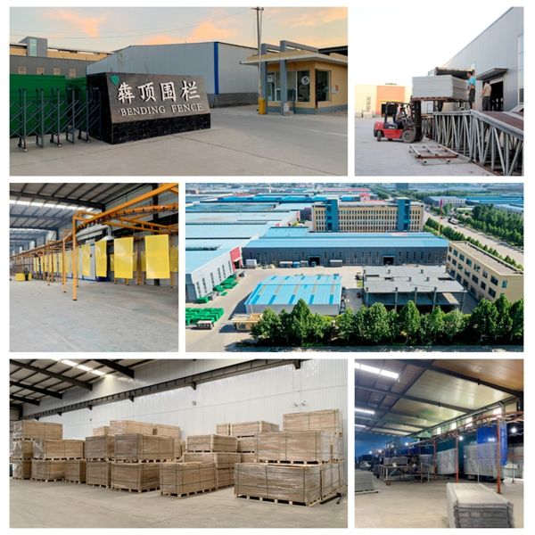 Круг покрытого порошком стальным сваренным забором сада провода сваренный двойной