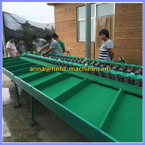 sweet potato grading machine, sweet potato sorting machine