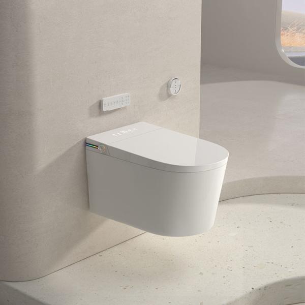 Elongated Bowl Smart Toilet Equipped With Siphon Jet Flushing Method