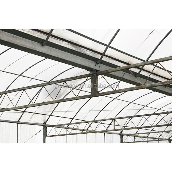 Largeur du tunnel de 12 à 15 mètres IGREEN Grande serre en plastique multifonction pour l'élevage des plantes