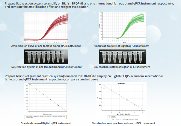 Real Time PCR Analyzer with 96 Well Template and 5 Fluorescent Channels for DNA/RNA Amplification at 6°C/S Ramp Rate