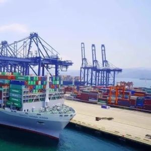 Expédition fiable rapide de conteneur de FCL avec la norme de conditions de