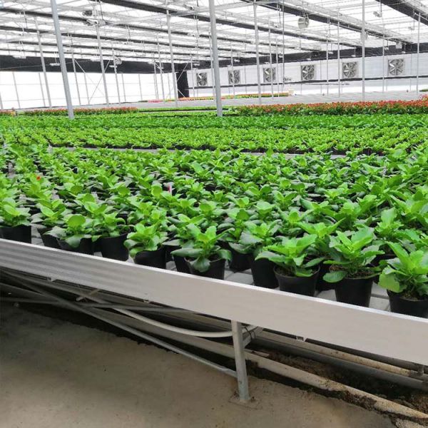 Дополнительное оборудование для теплиц растений 4'×8' 4'×10' Ebb And Flow Rolling Bench