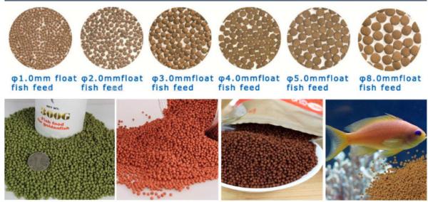 Durable Food Grade Stainless Steel Fish Feed Pellet Making Machine for Small Pet Food