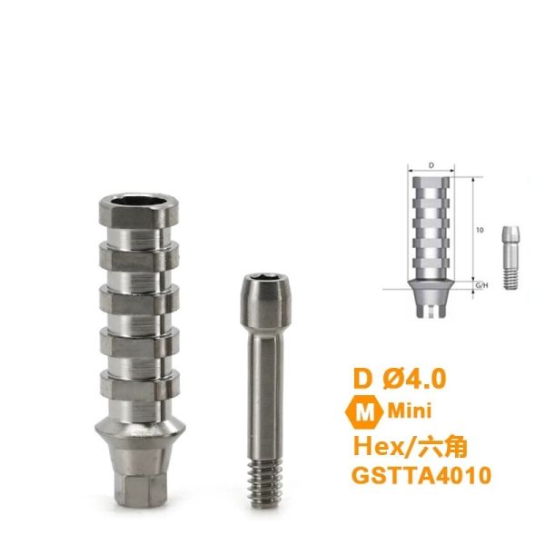 Osstem GS(TS)® HIossen® Titanium Temporary Abutment Compatible with  Mini / Regular (Engaging & Non-Engaging)