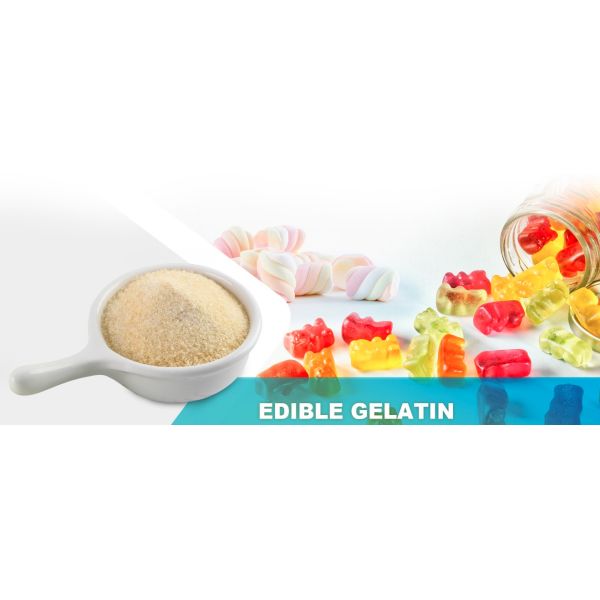 280 Bloom Gelatin musulman Gelatin sans goût dans le yogourt Halal