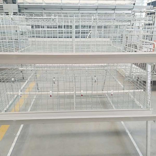 Stable Performance Broiler Chicken Cage Easy To Clean 20 - 25 Years Warranty