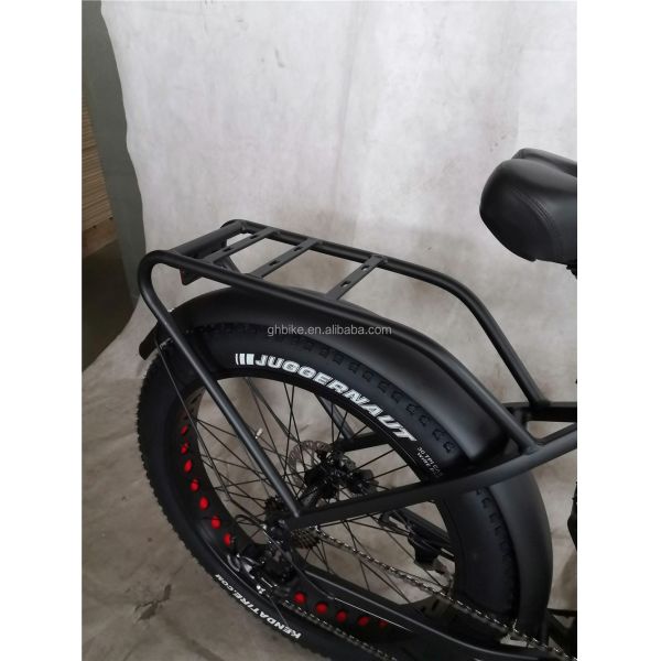 Adult Fat Tyre Cycle E Ebike Electric Bike 48V 1000W 21A Central Mid Drive Motor 26 Inch