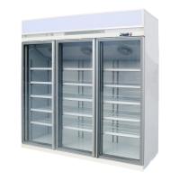 Congélateur droit de supermarché avec 3 anti la couleur adaptée aux besoins du client de brouillard par portes en verre
