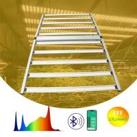 4X6ft 1000W Led Grow Light DLC ETL CE Certificated Daisy Chain Manufacturer