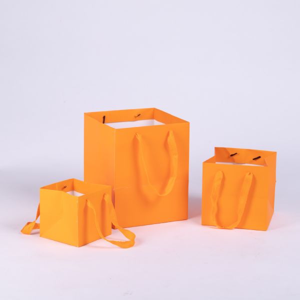 Paper Shopping Bags Gift Bag Packaging For Potted Succulents Honey & More