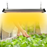 le plein spectre LED de 30w 45w 60w se développent léger pour des légumes