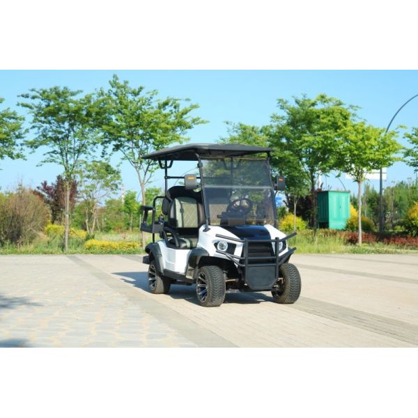 New 2+2 Seater Electric Golf Cart With Top Speed ​​Of 40mph And 12 Inch Road Tires Steel Body Mph Showed