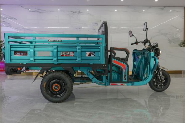 Semi Enclosed Two Seater Electric Tricycle 25km/H 60v 1000w