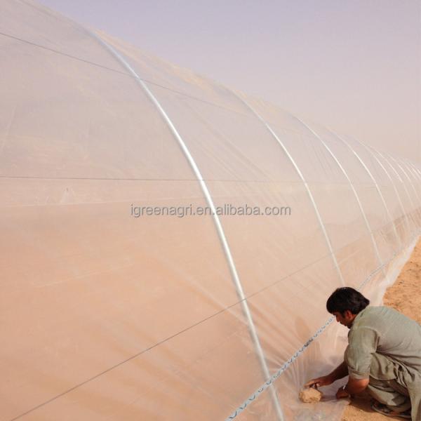PE Cooling System Agricultural Greenhouse Flower Growing Galvanized Steel Greenhouse