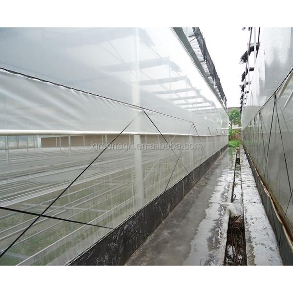 IGreen Agricultural Greenhouses Large Panda Film Greenhouse Suitable for All Climates