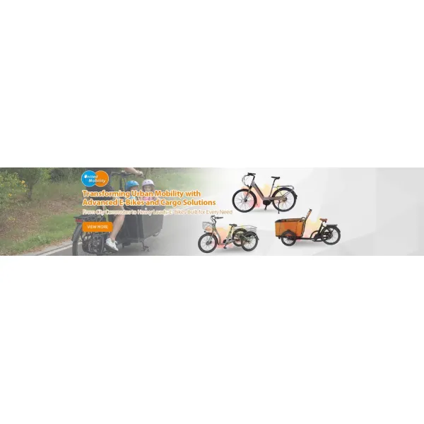 Electric Cargo Bike for Carrying Kids and Pets with CE