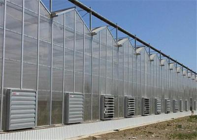 50 Micron UV Thickness PC Sheet Greenhouse Customized Length Clear Color