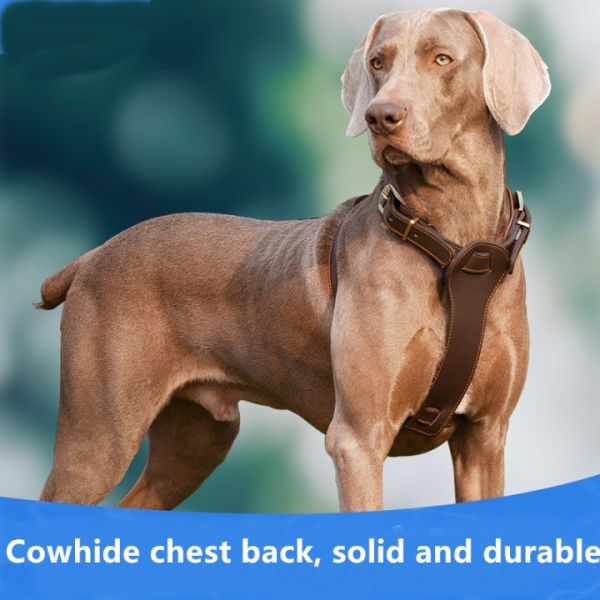 Кожаный поводок проводки любимца для среднего Mastiff боксера питбуля собак