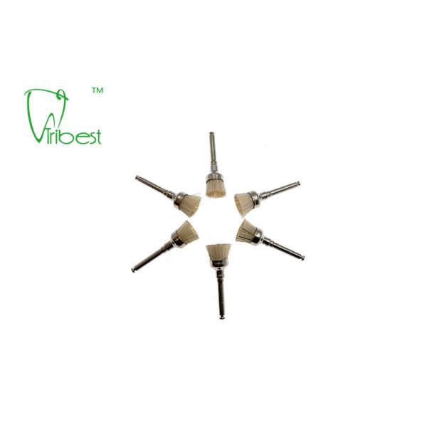 White Bristle Brush Dental Polishing Kit Teeth Polishing Brush