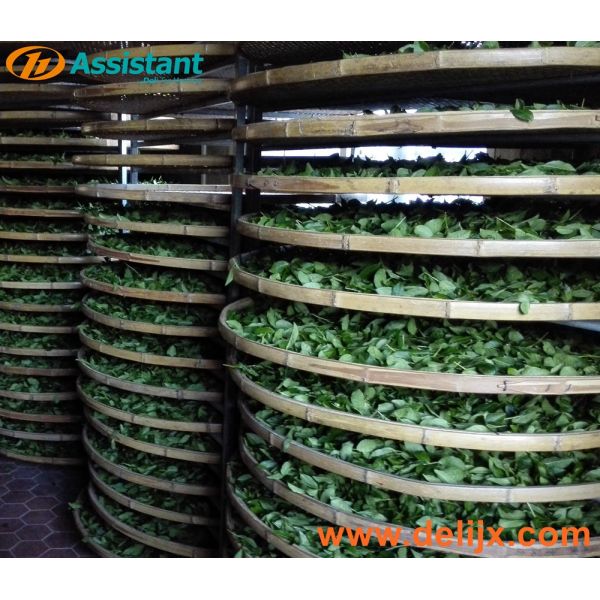 Stainless Steel or Bamboo Tea Withering Plate Pallet DL-TQJ-20 for 50kg/tine Capacity
