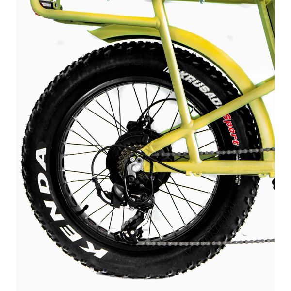 48V Disc Brake Dual Batteries Fat Snow Big Tire Electric Cargo Bicycles for Family 2