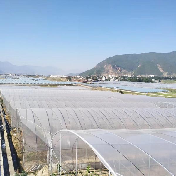 Estrutura de aço Estufa de plástico Estufa de 0,12 mm-0,2 mm Espessura Temperatura 0-50°C