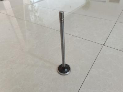 Engine Intake Valve Exhaust Valve Parts 252-7802 224-3030 Customized