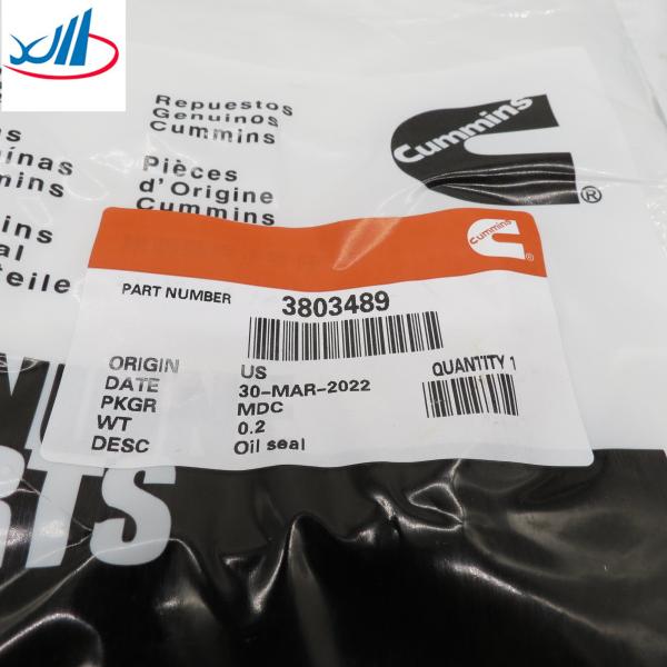 Cummins Engine Parts Drive Oil Seal 3803489 Good Performance