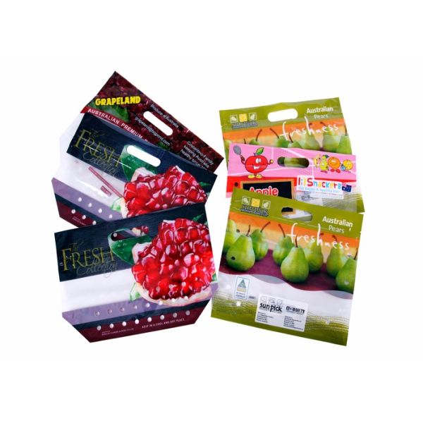 Stand Up Pouch Zipper Fruit Packaging Bags Custom Plastic With Handle Holes