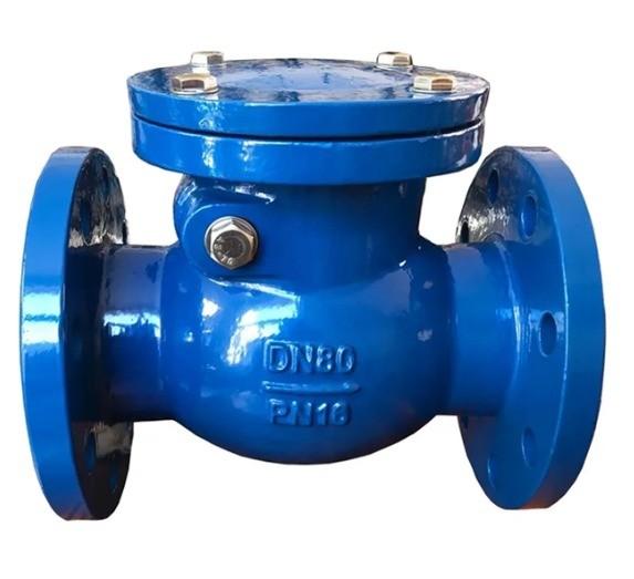 OBM Supported Stainless Steel Cast Iron DIN Standard Flanged Check Valve for B2B Buyer