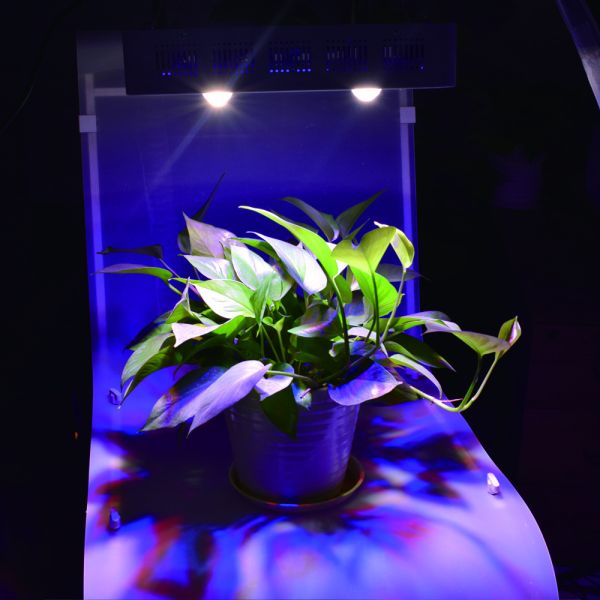 900W Plant Double Chip Led Grow Light 5000-5800 K Excellent Heat Dissipation