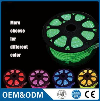 High Class SMD 5050 Single/RGB 220V/120V LED Strip Light High Bright Adversiting Decoration Lighting grow