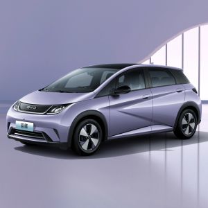 Дельфин полностью электрические хэтчбекные автомобили 5-местные литий-железофосфатные батареи