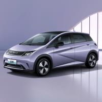 Veículos hatchback totalmente elétricos Dolphin 5 lugares Bateria de lítio ferro fosfato