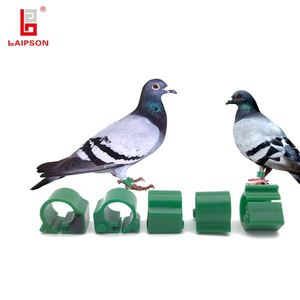 High Stability RFID Pigeon Ring With Chips And Chicken Feet Ring