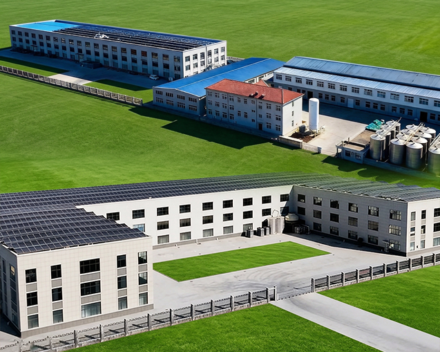 LILONG SPIRITS GROUP