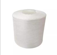 Le blanc a tourné la matière première 48F de fils de polyesters 202 pour le fil de teinture