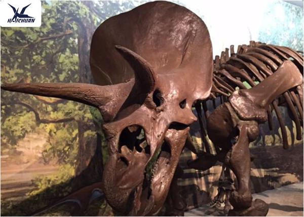 Amusement Park Facility Life Size Dinosaur Skeleton Replica Artificial Replica Model