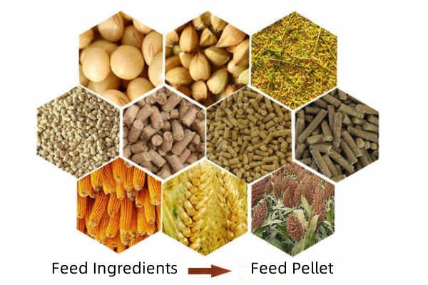 200-300кг/ч Пелетная мельница для кормов для птиц Домашнее оборудование 7,5 кВт 380В