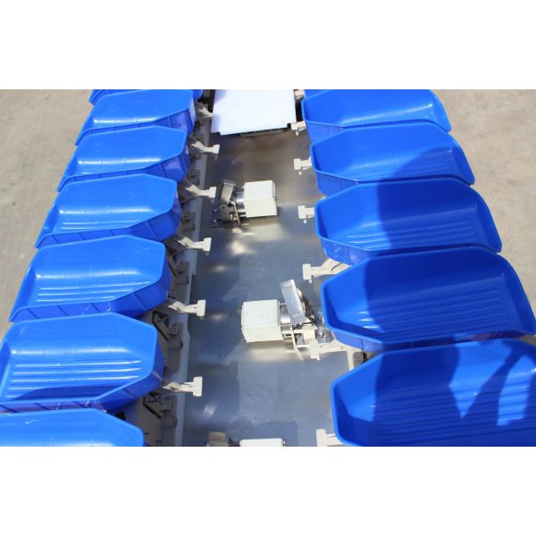 Streamline Your Oyster Fish Sorting Process with Multi-Tray Weight Sorting Machine
