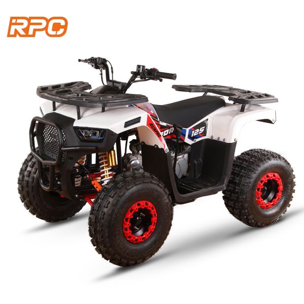110cc 125cc 150cc 4-тактный газовый детский квадроцикл ATV для автоматической тр