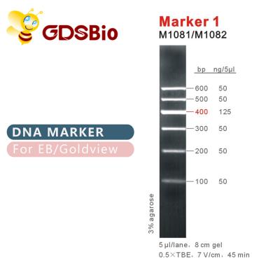 Escada M1081 do ADN do marcador 1 (50μg) /M1082 (50μg×5)